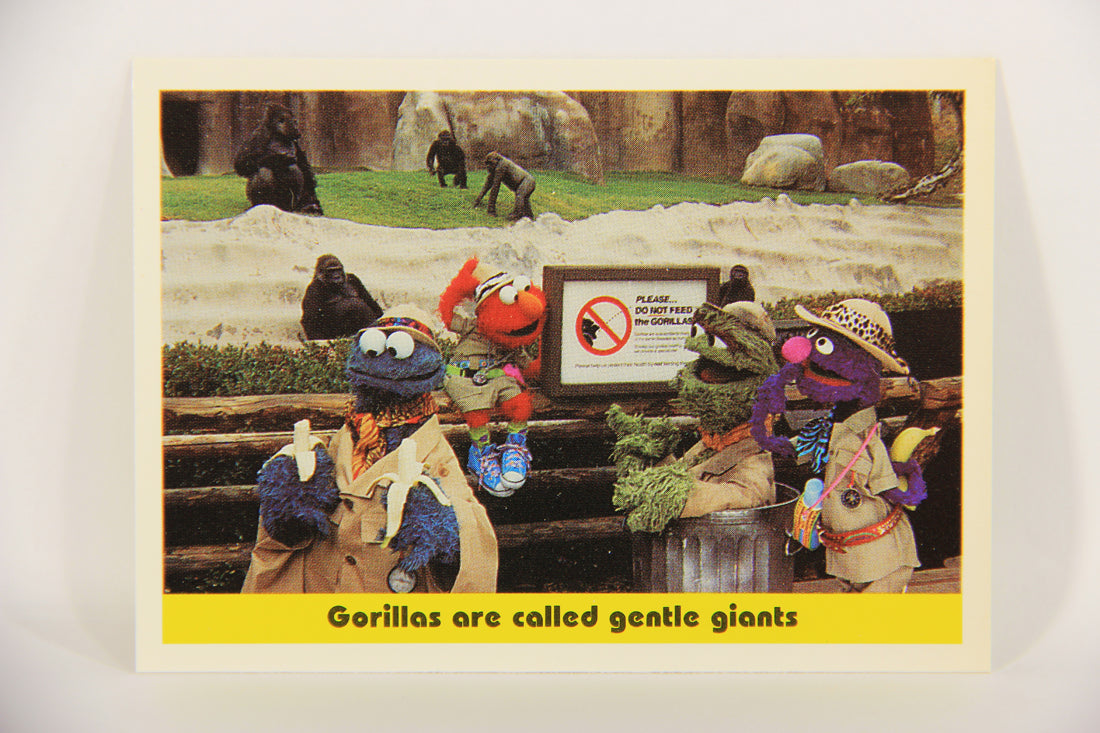 Seasame Street TV Show 1992 Card #100 Gorillas Are Called Gentle Giants ENG L020724