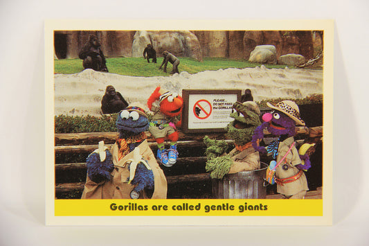 Sesame Street TV Show 1992 Card #100 Gorillas Are Called Gentle Giants ENG L020724