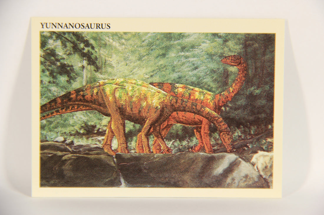 Dinosaurs The Mesozoic Era 1993 Vintage Trading Card #1 Yunnanosaurus ENG L020785