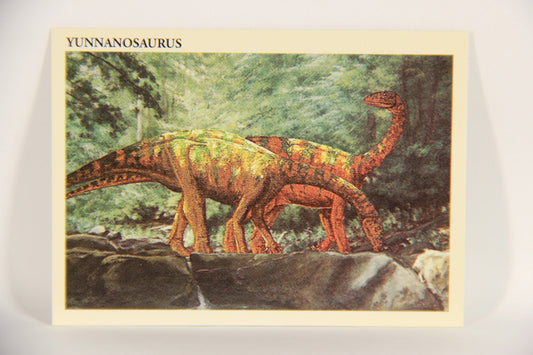 Dinosaurs The Mesozoic Era 1993 Vintage Trading Card #1 Yunnanosaurus ENG L020785