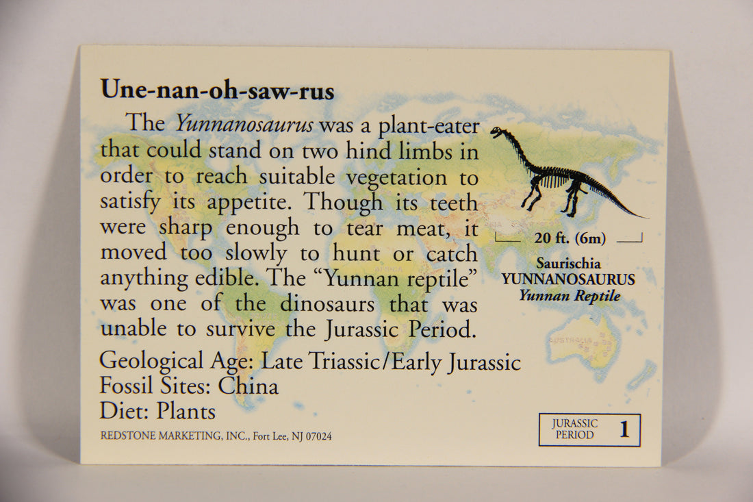 Dinosaurs The Mesozoic Era 1993 Vintage Trading Card #1 Yunnanosaurus ENG L020785