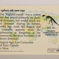 Dinosaurs The Mesozoic Era 1993 Vintage Trading Card #40 Daspletosaurus ENG L020786