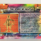 Pokémon Card First Movie #24 The Story Of Mewtwo Blue Logo 1st Print ENG L020829