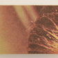 Star Wars 1977 Card #74 Luke Skywalker On Tatooine FR-ENG O-Pee-Chee L020854