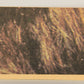 Star Wars 1977 Trading Card #106 A Message From Princess Leia FR-ENG OPC L020855