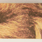 Star Wars 1977 Trading Card #119 Threepio Ben And Luke FR-ENG O-Pee-Chee L020858