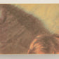 Star Wars 1977 Trading Card #160 Portrait Of A Princess FR-ENG OPC L020863