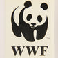 Wildlife In Danger WWF 1992 Trading Card #1 World Wildlife Fund Logo ENG L020892