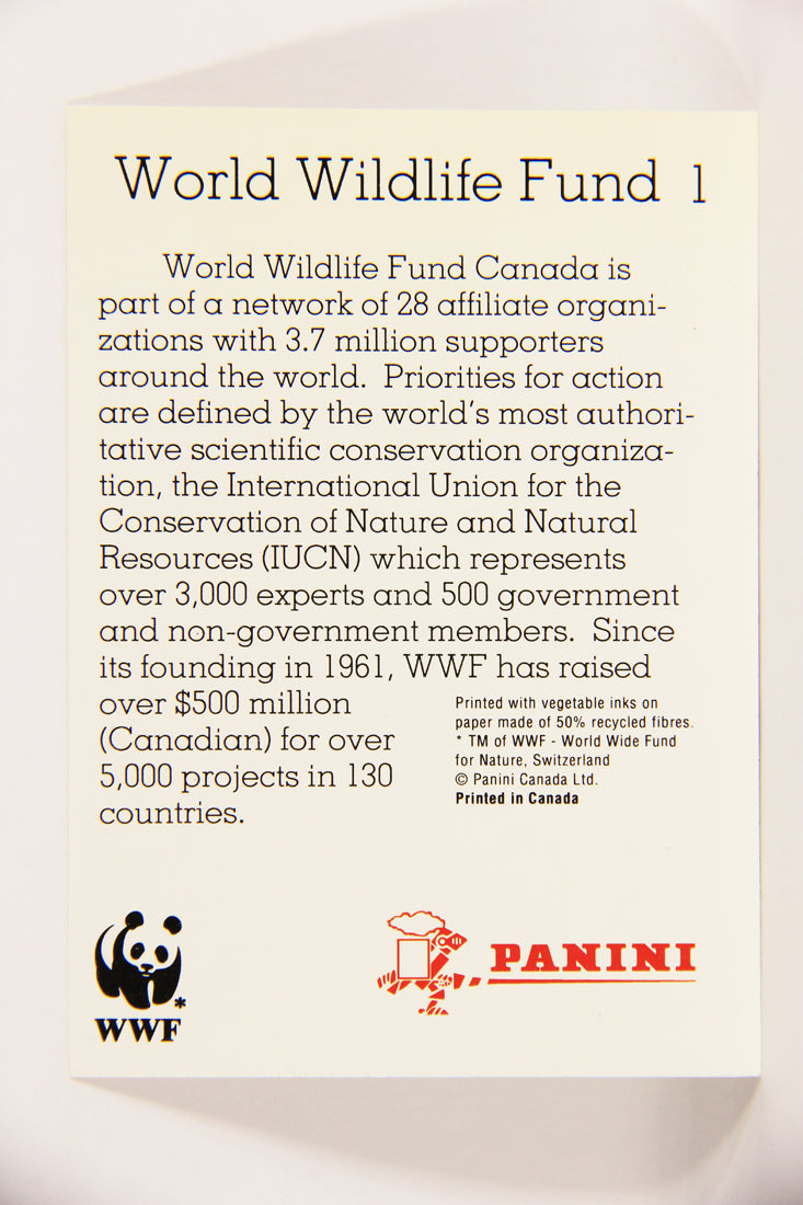 Wildlife In Danger WWF 1992 Trading Card #1 World Wildlife Fund Logo ENG L020892