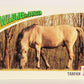 Wildlife In Danger WWF 1992 Trading Card #88 Tarpan ENG L020893