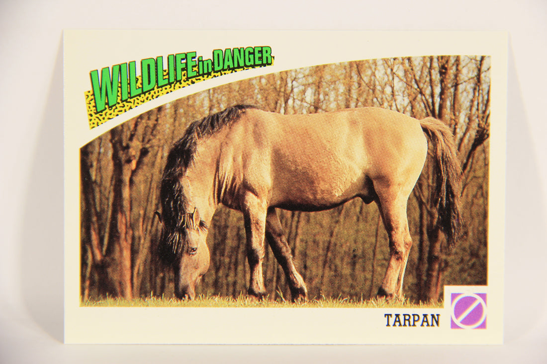 Wildlife In Danger WWF 1992 Trading Card #88 Tarpan ENG L020893