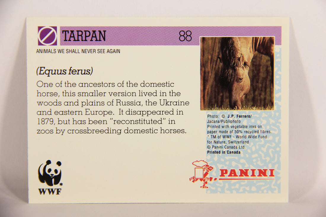 Wildlife In Danger WWF 1992 Trading Card #88 Tarpan ENG L020893