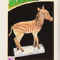 Wildlife In Danger WWF 1992 Trading Card #89 Quagga ENG L020894