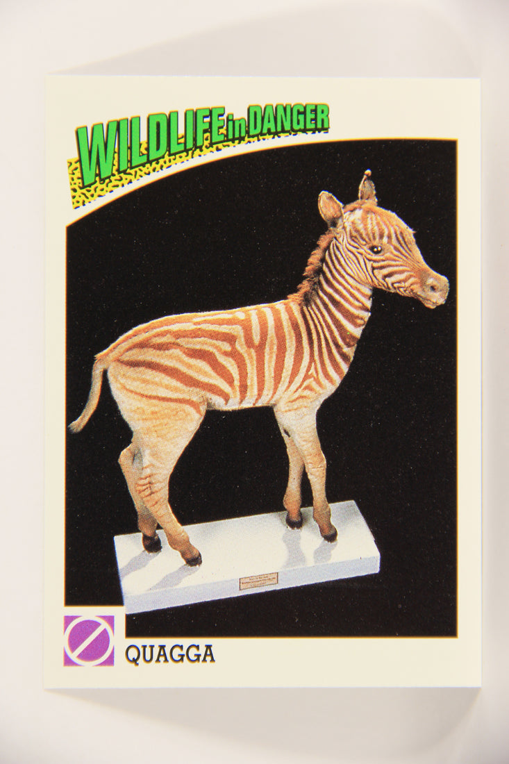 Wildlife In Danger WWF 1992 Trading Card #89 Quagga ENG L020894
