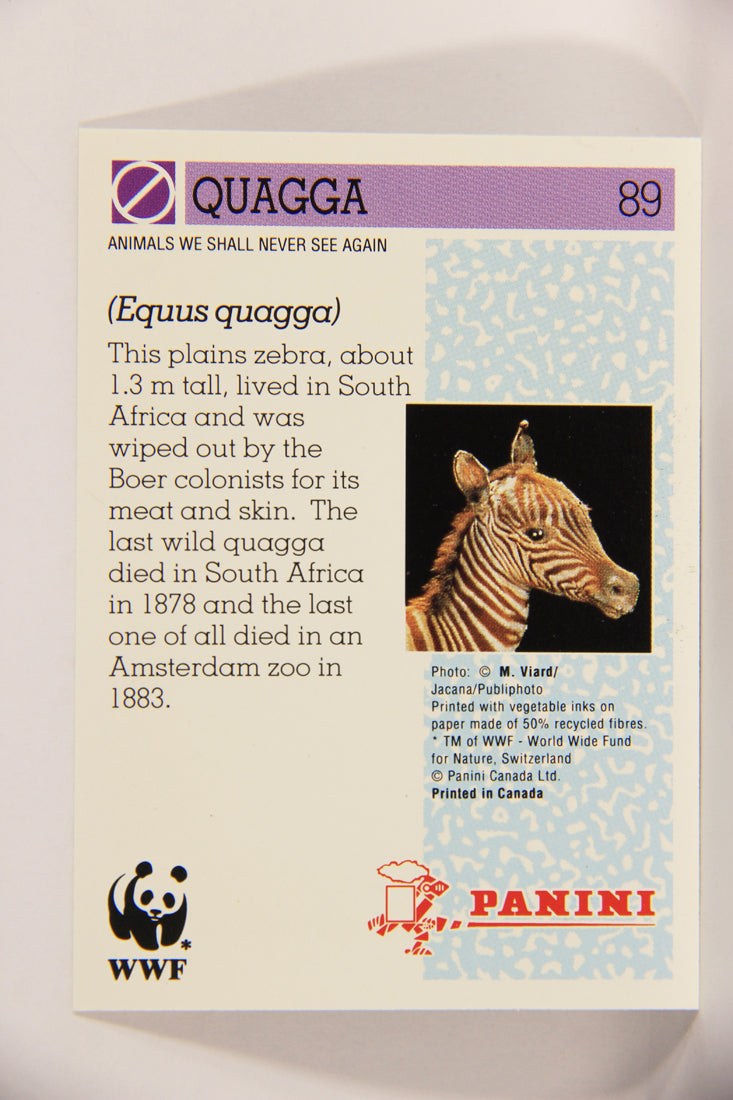 Wildlife In Danger WWF 1992 Trading Card #89 Quagga ENG L020894