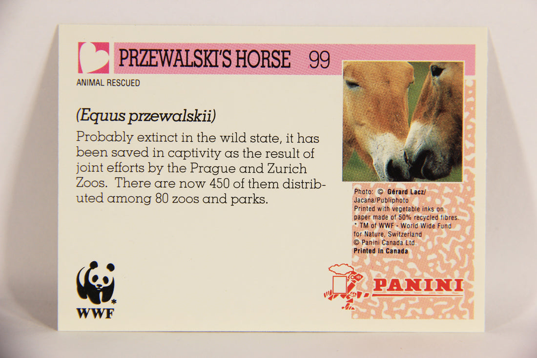 Wildlife In Danger WWF 1992 Trading Card #99 Przewalski's Horse ENG L020895