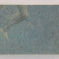 Jaws 2 - 1978 Trading Card #14 Brody's Close Call FR-ENG O-Pee-Chee Canada L020909