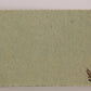 Jaws 2 - 1978 Trading Card #19 Too Close For Comfort FR-ENG O-Pee-Chee L020914