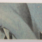 Jaws 2 - 1978 Trading Card #42 An Alarmed Chief Brody FR-ENG O-Pee-Chee L020937