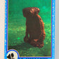 E.T. The Extra-Terrestrial 1982 Trading Card #9 E.T. Approaches ENG Topps L020974
