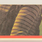 E.T. The Extra-Terrestrial 1982 Trading Card Sticker #3 E.T. Bundled Up L021055