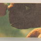 E.T. The Extra-Terrestrial 1982 Trading Card Sticker #5 An Alarmed E.T. L021057