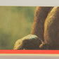 E.T. The Extra-Terrestrial 1982 Trading Card Sticker #6 E.T. And Elliot L021058