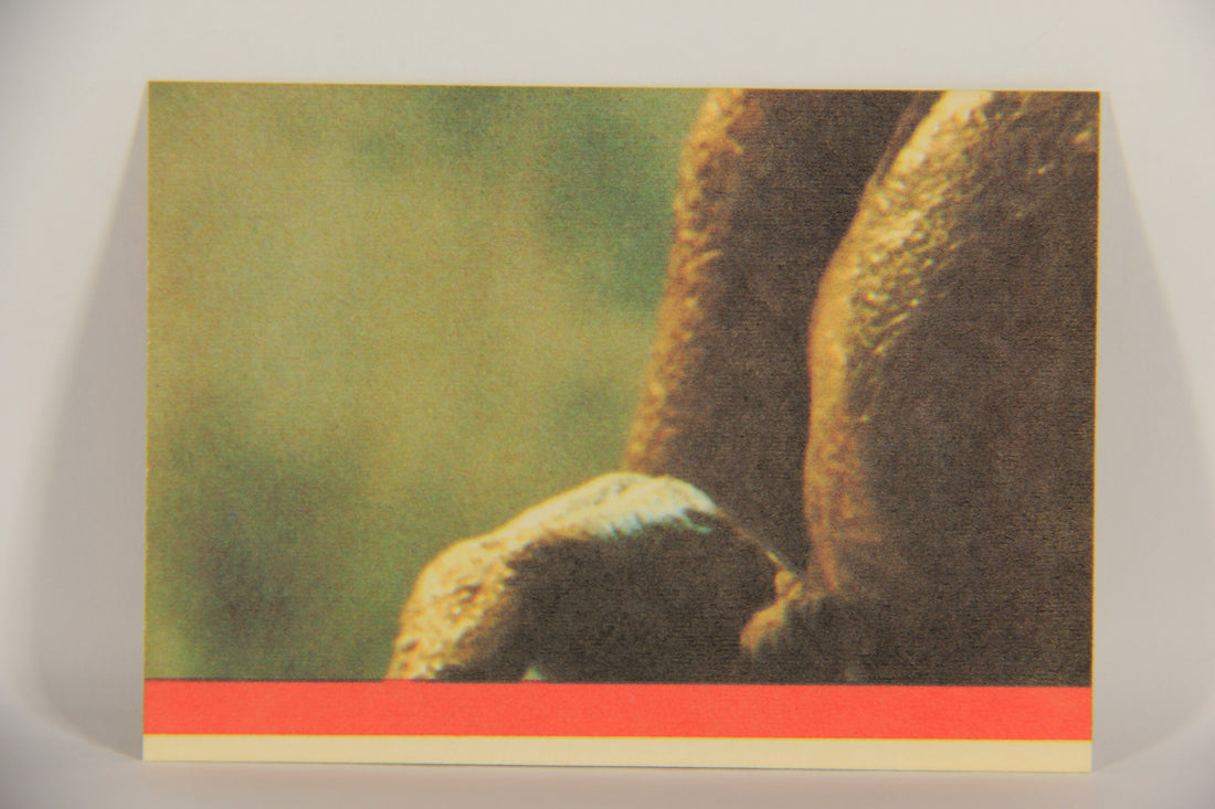 E.T. The Extra-Terrestrial 1982 Trading Card Sticker #6 E.T. And Elliot L021058