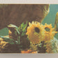 E.T. The Extra-Terrestrial 1982 Trading Card Sticker #8 E.T. - Elliot - Gertie L021060