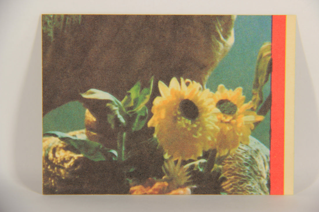 E.T. The Extra-Terrestrial 1982 Trading Card Sticker #8 E.T. - Elliot - Gertie L021060