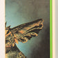 Gremlins 2 The New Batch 1990 Sticker Card #1 Daffy The Mogwai Green Border L021097