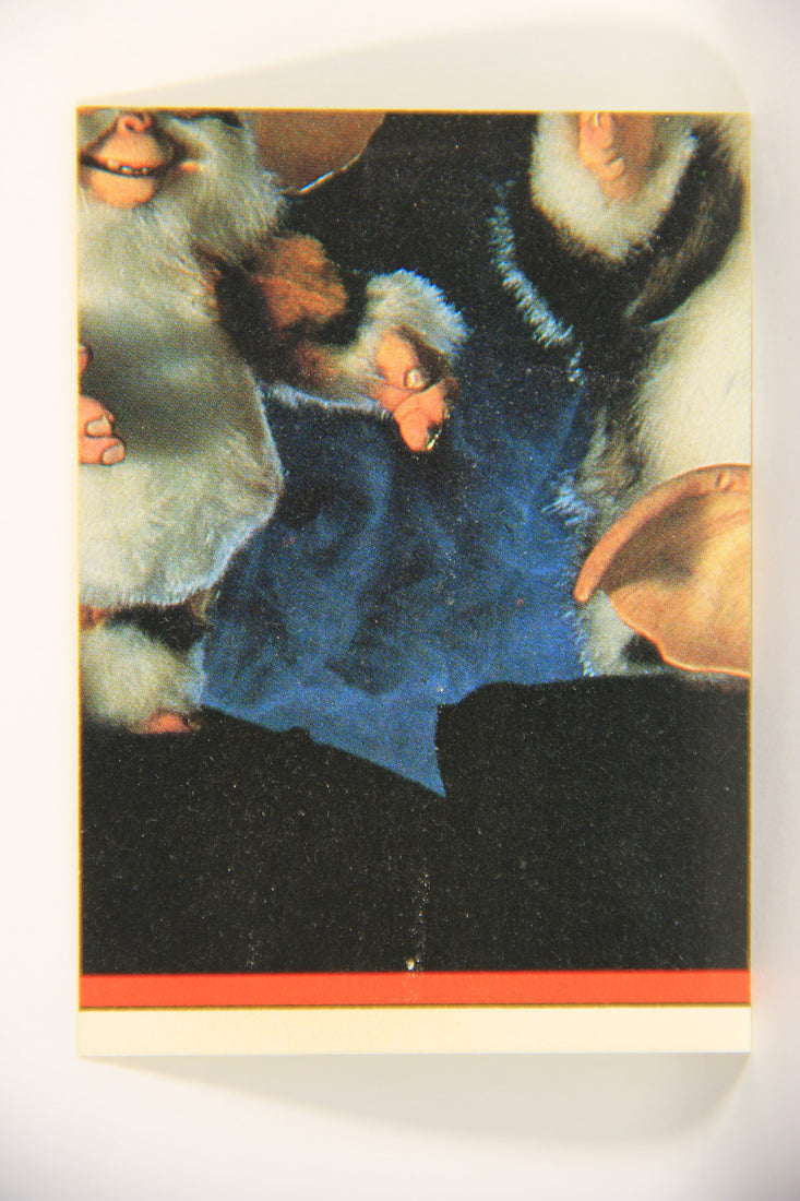 Gremlins 2 The New Batch 1990 Sticker Card #9 It's After Midnight ENG Red Border L021111