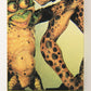 Gremlins 2 The New Batch 1990 Sticker Card #9 It's After Midnight ENG Green L021112