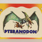 Dinosaurs Attack 1988 Vintage Sticker Trading Card #7 Pteranodon ENG L021244