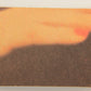 Grease 1978 Trading Card #8 Frenchy's Fantasy FR-ENG O-Pee-Chee L021301