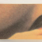 Grease 1978 Trading Card #21 Gettin' Ready To Cream The Teacher FR-ENG OPC L021314