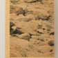 Star Wars 1977 Trading Card #99 Ben With The Light Sabre FR-ENG OPC L021516