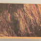 Star Wars 1977 Trading Card #106 A Message From Princess Leia FR-ENG OPC L021517