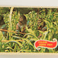 Planet Of The Apes 1969 Trading Card #9 Stalking Human Prey ENG O-Pee-Chee L021644