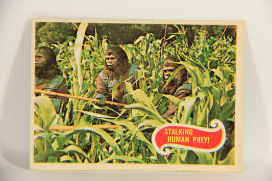 Planet Of The Apes 1969 Trading Card #9 Stalking Human Prey ENG O-Pee-Chee L021644