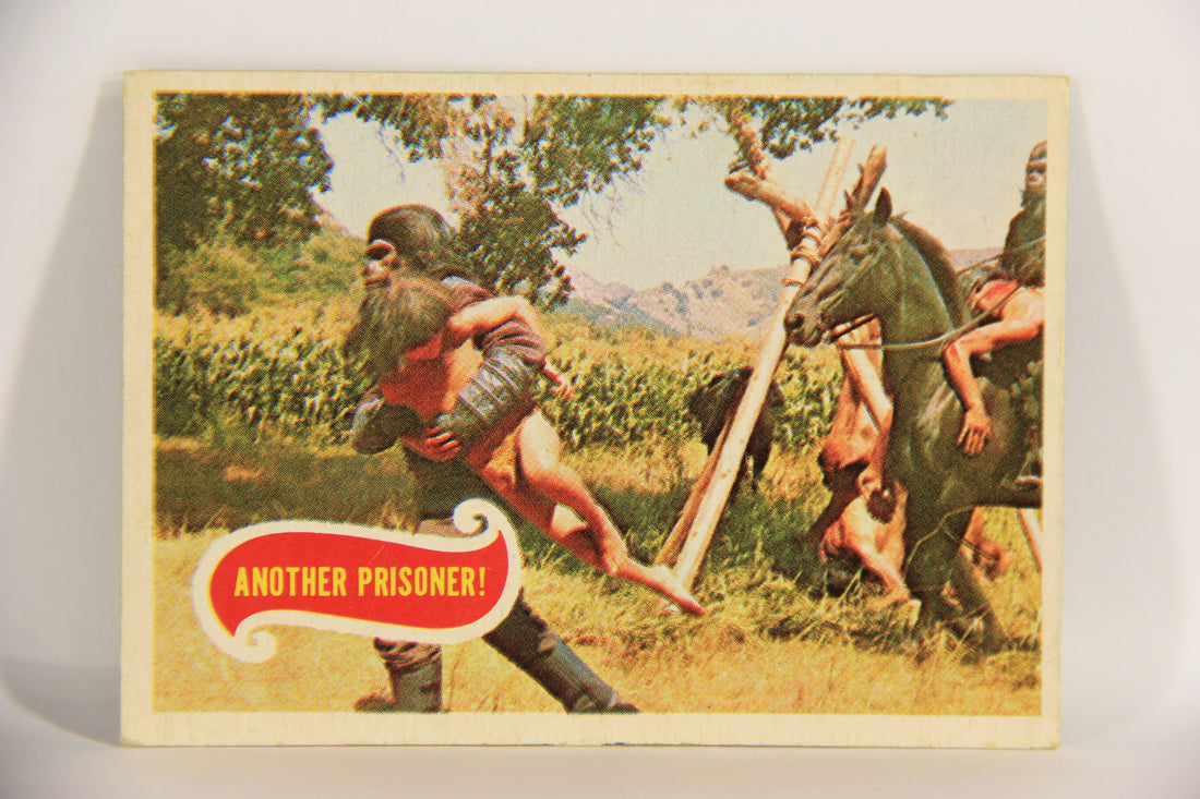Planet Of The Apes 1969 Trading Card #10 Another Prisoner ENG O-Pee-Chee L021645