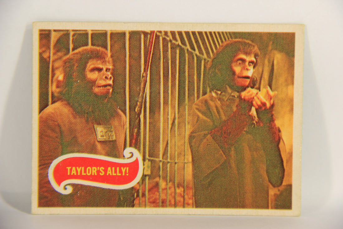 Planet Of The Apes 1969 Trading Card #22 Taylor's Ally ENG O-Pee-Chee L021651