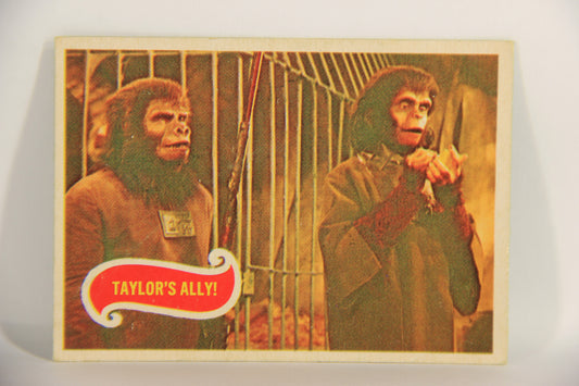 Planet Of The Apes 1969 Trading Card #22 Taylor's Ally ENG O-Pee-Chee L021651