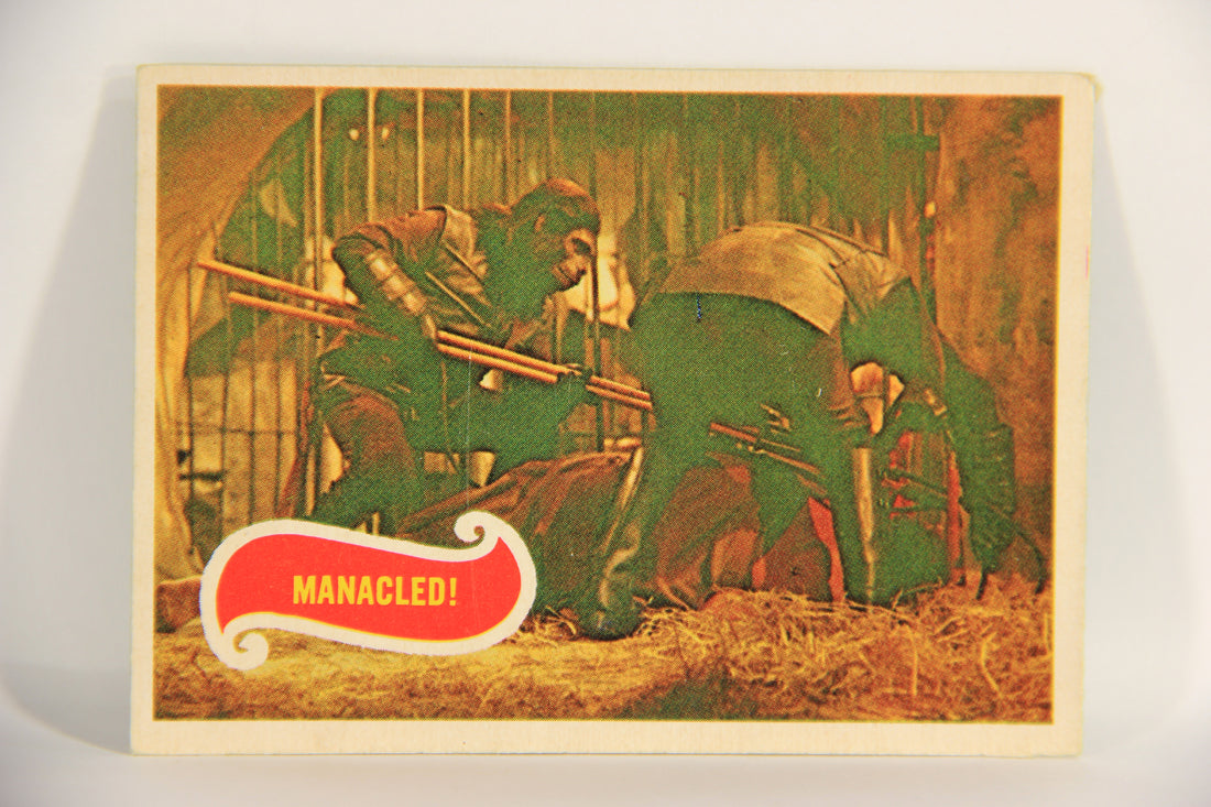 Planet Of The Apes 1969 Trading Card #31 Manacled ENG O-Pee-Chee L021657