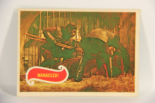 Planet Of The Apes 1969 Trading Card #31 Manacled ENG O-Pee-Chee L021657
