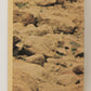 Star Wars 1977 Trading Card #99 Ben With The Light Sabre FR-ENG OPC L021689