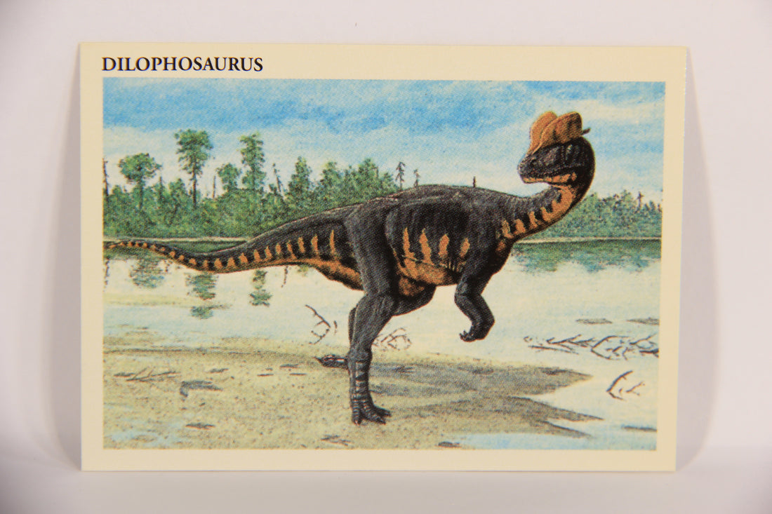 Dinosaurs The Mesozoic Era 1993 Vintage Trading Card #5 Dilophosaurus ENG L021787