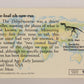Dinosaurs The Mesozoic Era 1993 Vintage Trading Card #5 Dilophosaurus ENG L021787