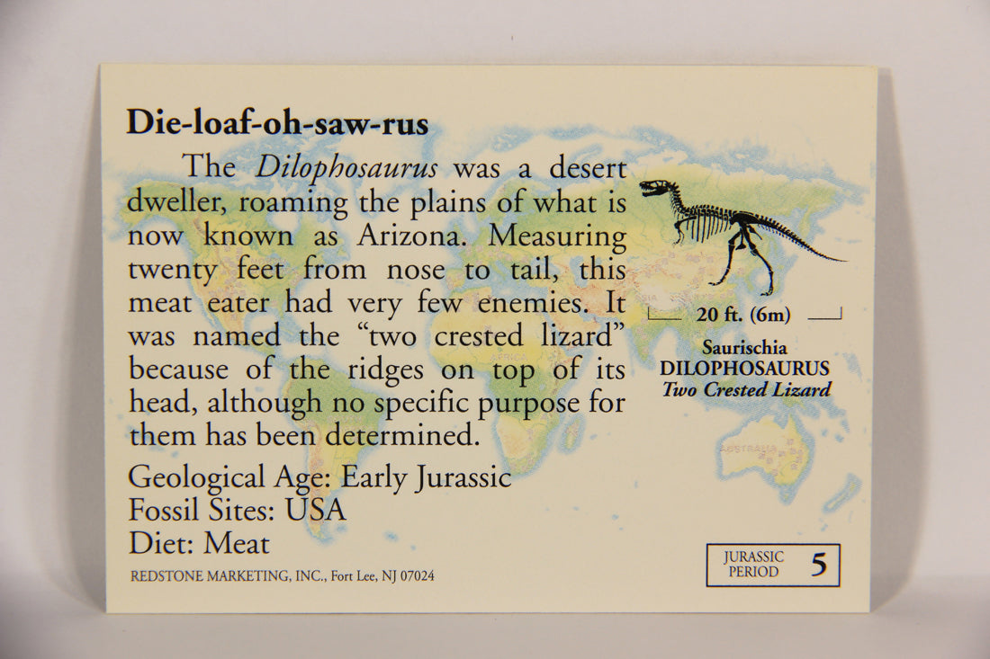 Dinosaurs The Mesozoic Era 1993 Vintage Trading Card #5 Dilophosaurus ENG L021787