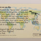 Dinosaurs The Mesozoic Era 1993 Vintage Trading Card #34 Baryonyx ENG L021788